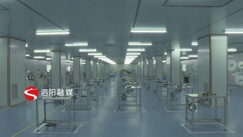 优服务强项目，科技赋能 泗阳意杨产业科技园的高质量发展之路